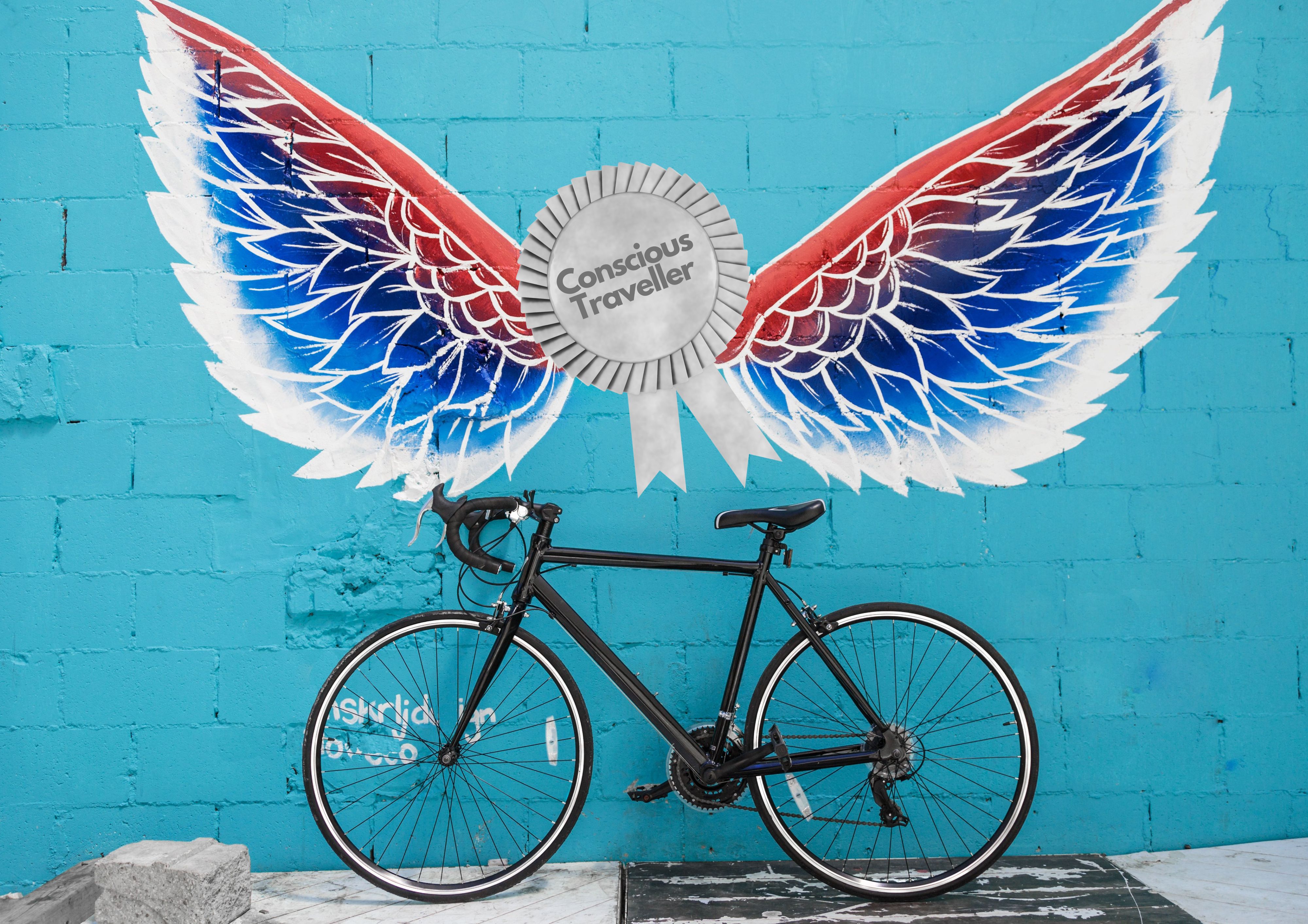 Wings and Bike